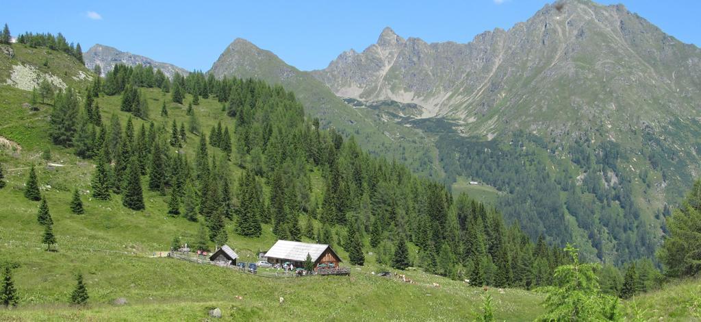 Biobauernhof Tonimoertl Villa Mariapfarr Kültér fotó